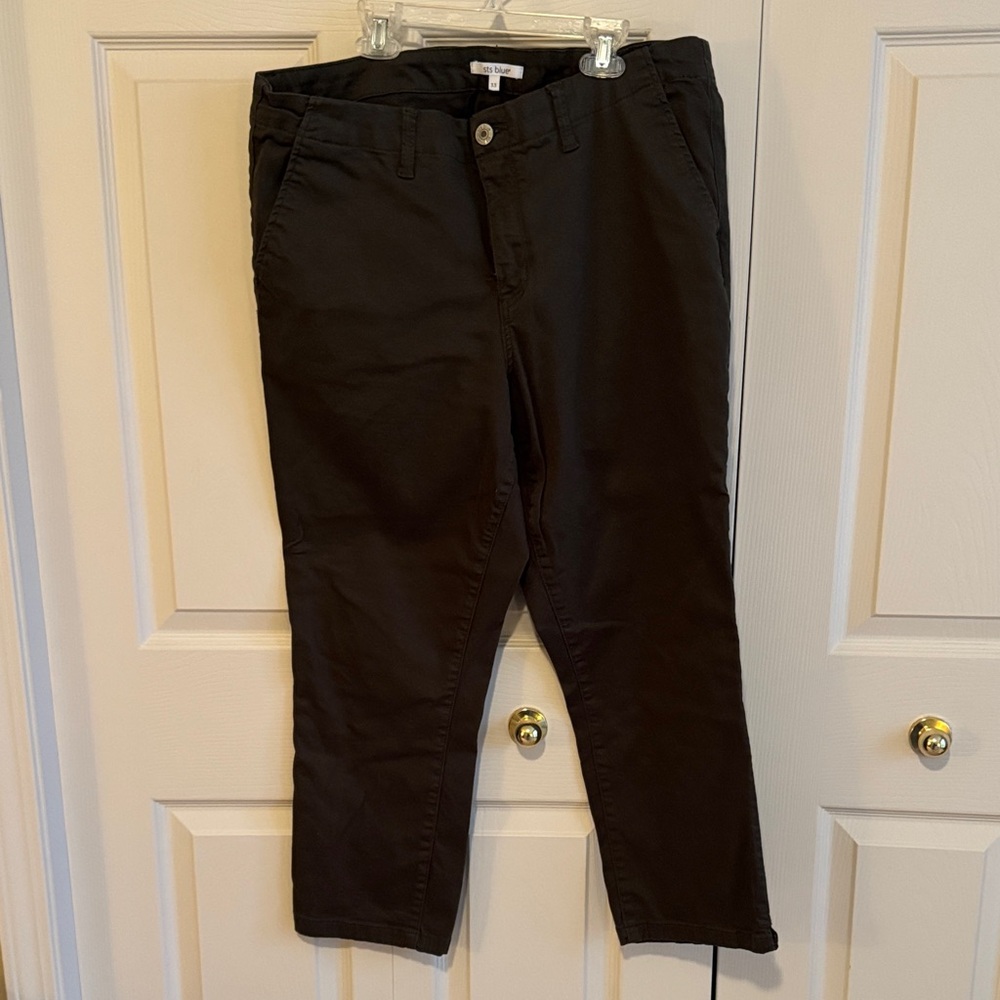 STS Blue Olive Green Chino Pants